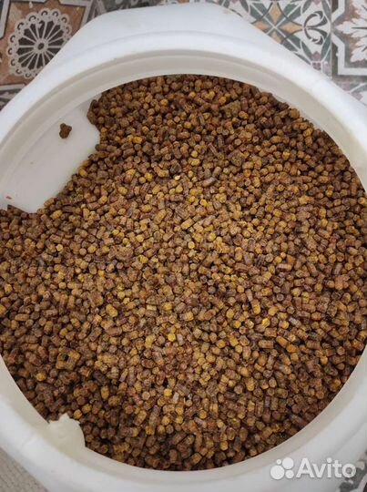 Свежая пчелиная пыльца (перга)