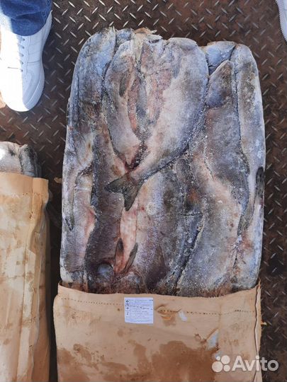 Свежая рыба горбуша