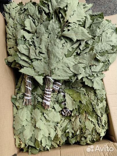 Травы для запарок и венички,для баньки