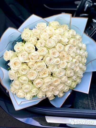 Голландские роза