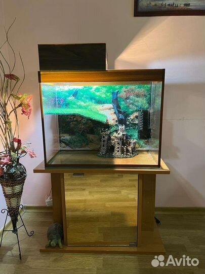 Аквариум с тумбой для красноухой черепахи