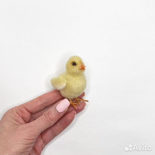 Цыпленок миниатюра