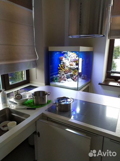 Обслуживание аквариумов