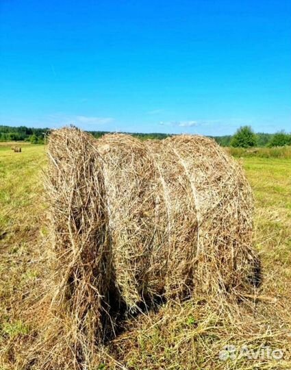 Сено в рулонах, хранится под крышей, 2024