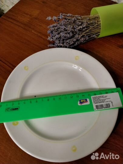 Тарелка зик СССР