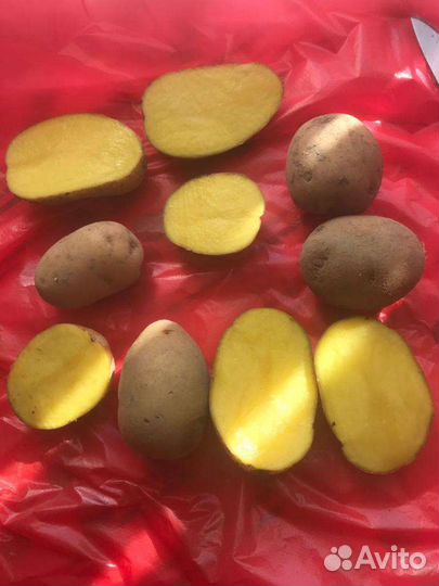 Картофель продовольственный