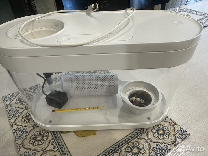 Аква-ферма Xiaomi