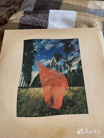 Виниловая пластинка Pink Floyd