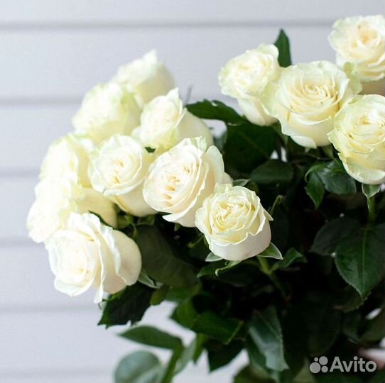 Розы Цветы Букеты 25 151 201 101 301 501 опт