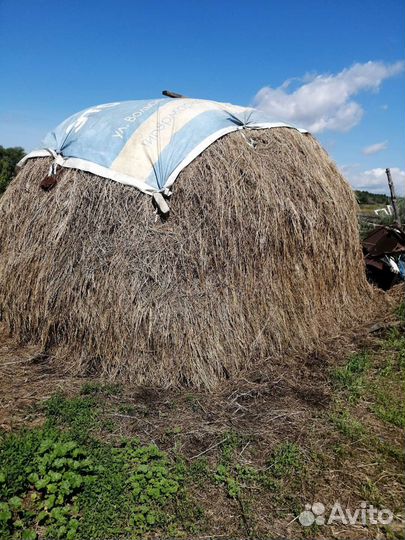 Продам сено лесное