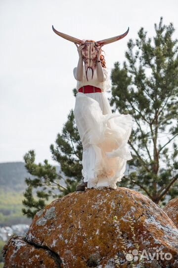 Деревянные черепа быка для декора