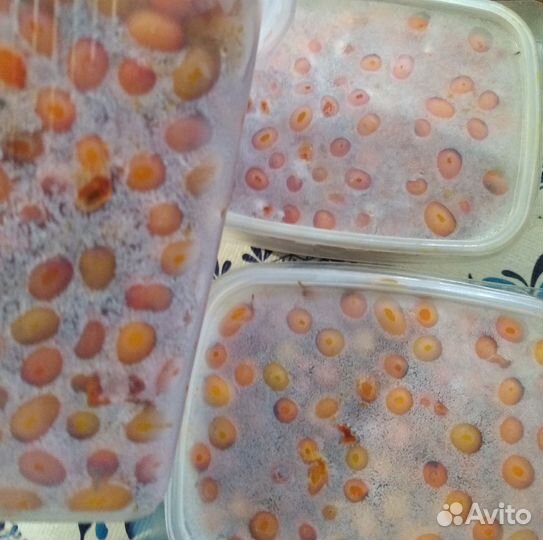 Облепиха ягоды