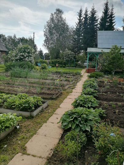 Участок 8 сот. (СНТ, ДНП)