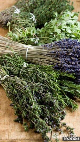 Срезка трав мята, душица и др