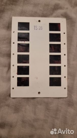 Фотокарточка ts28