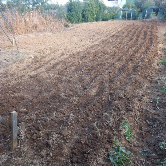 Участок 33 сот. (ИЖС)