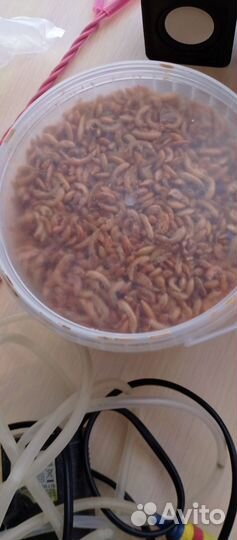 Комплектующие для аквариума