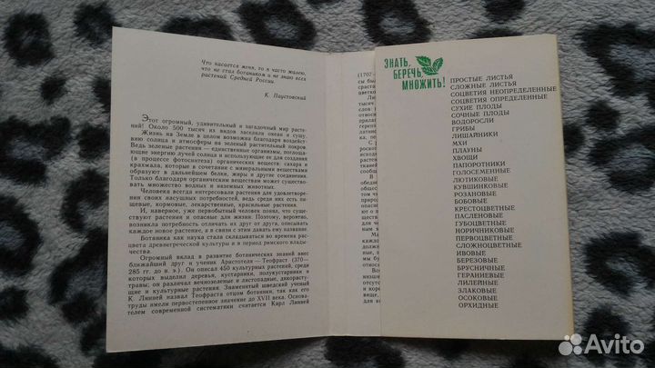 Открытки с растениями СССР Юному ботанику, 1980 г
