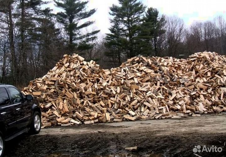 Дрова с Приморска
