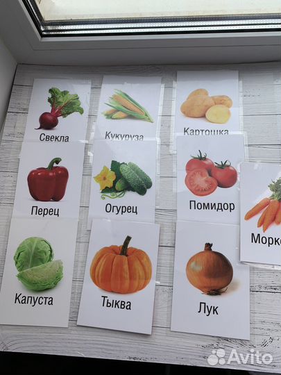 Развивающие карточки ламинированные для малышей