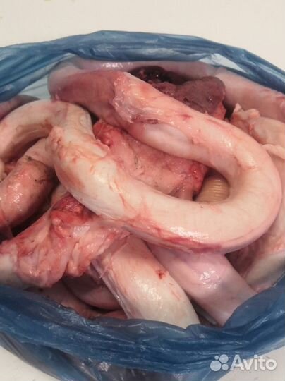 Бычий корень