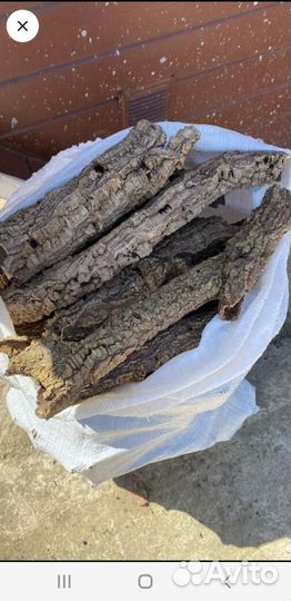 Кора пробкового дуба