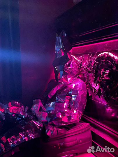 Зеркальный заяц на выпускной/ шоу