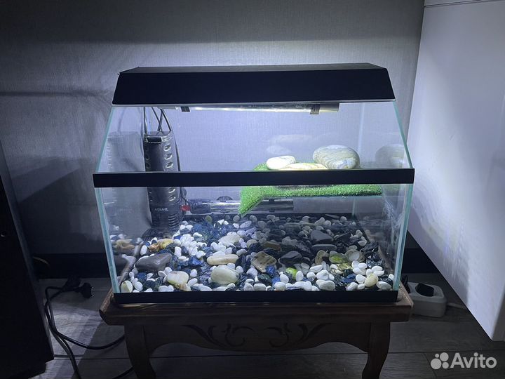Аквариум для черепах