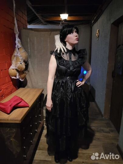 Аниматор Эльза и Уэнсдей со своей историей