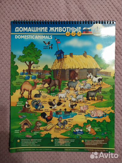 Плакаты для говорящей ручки Знаток