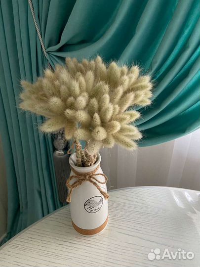 Сухоцвет Лагурус