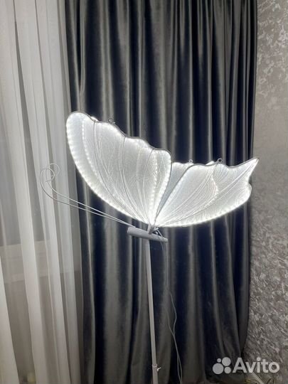 Бабочки в аренду