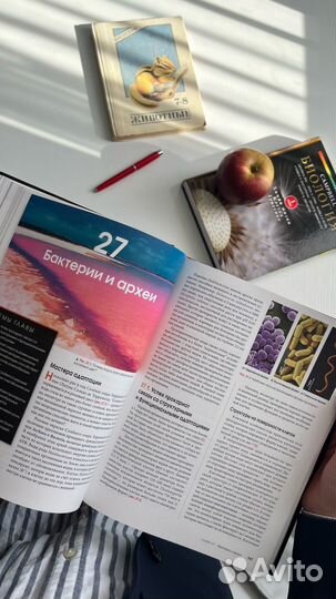 Репетитор по Биологии