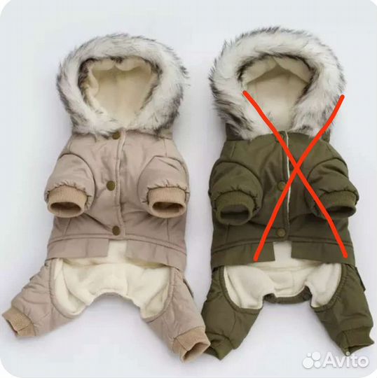 Ботиночки для собаки