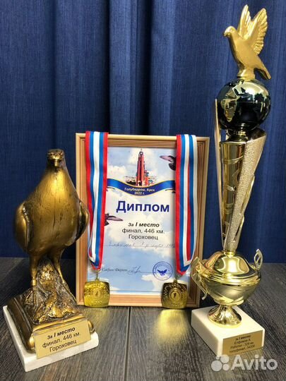 Продажа голубей от знаменитых заводчиков