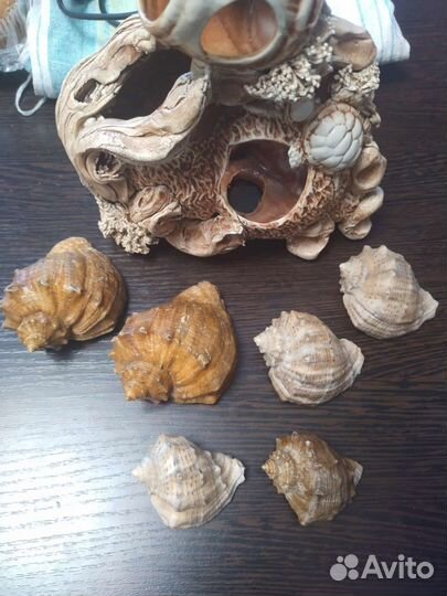 Весь набор 600