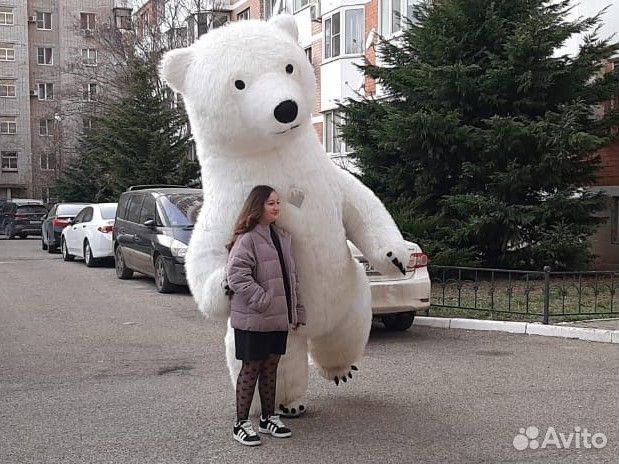 Белый Мишка поздравление