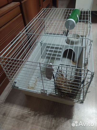Клетка для декоративного кролика