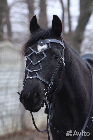 Оголовье и подперсье в барочном стиле