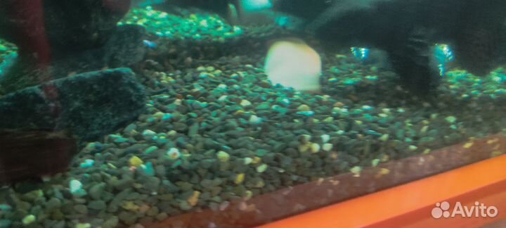 Грунт для аквариума