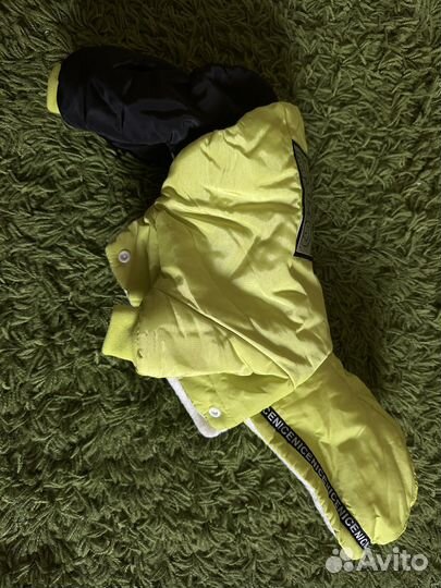 Одежда для собак мелких пород