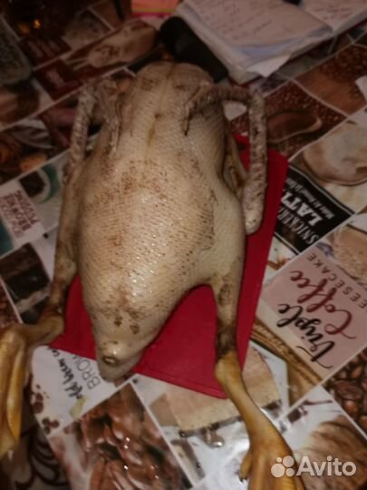 Мясо утки мулард