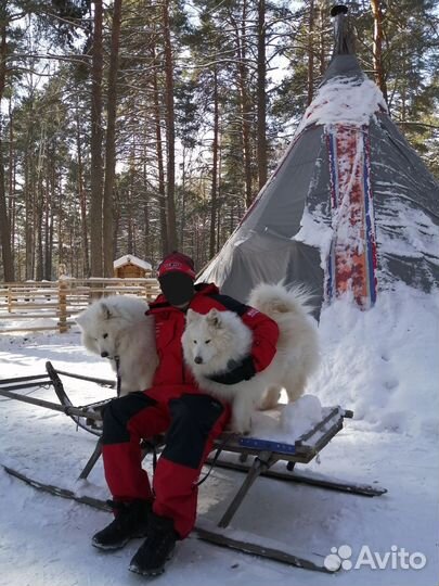 Горнолыжный костюм мужской 54 размер