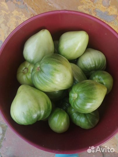 Помедоры красные и зелёные