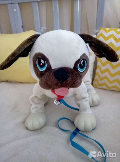 Собака-шогачка