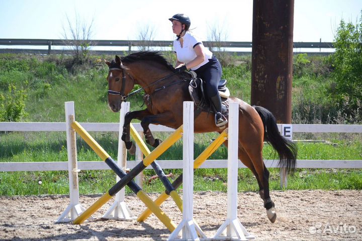 Конные тренировки