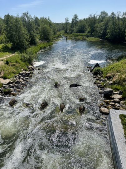 Участок 6 сот. (ИЖС)