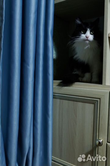 Фотограф (5 бесплатно)