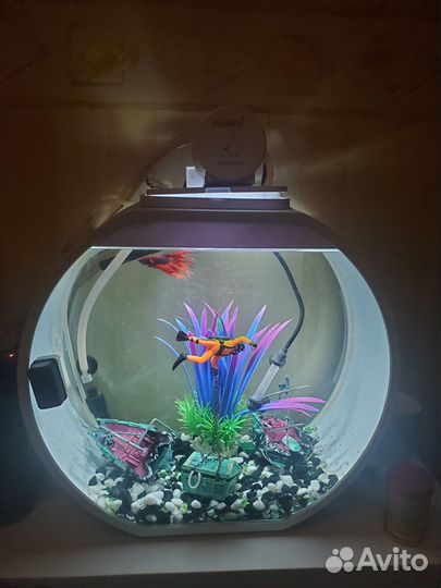 Аквариум круглый Deco 20л полный фарш умный дом