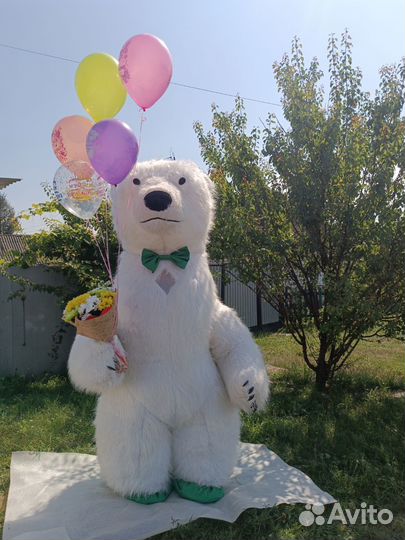 Соник. Ушастик. /аниматоры